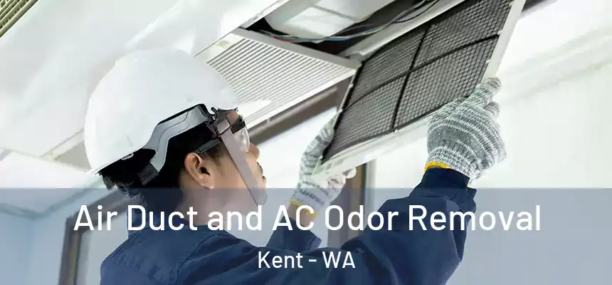 Air Duct and AC Odor Removal Kent - WA