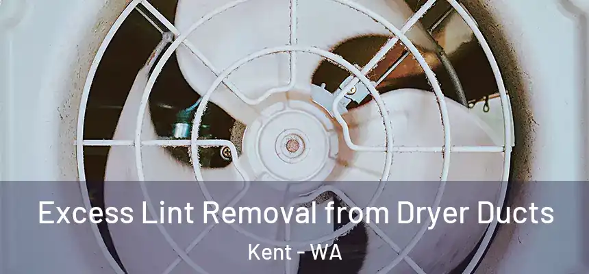 Excess Lint Removal from Dryer Ducts Kent - WA