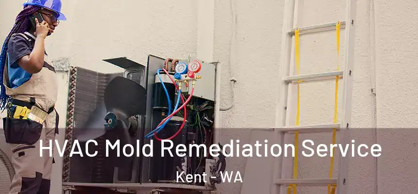  HVAC Mold Remediation Service Kent - WA