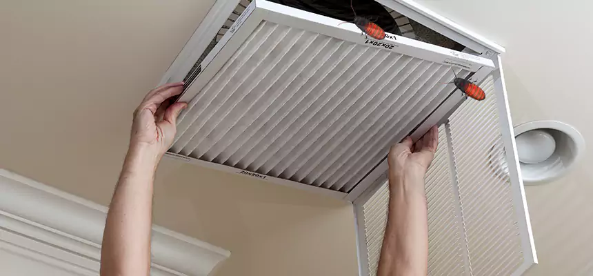 Our Insect Removal from Air Ducts Services in Kent, WA