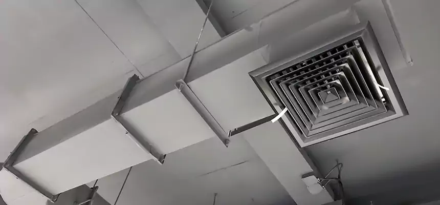 Our Pest Removal From Ducts Services in Kent, WA