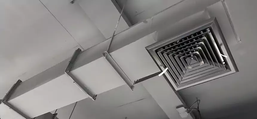 Our Rodent Droppings In Vents Services in Kent, WA