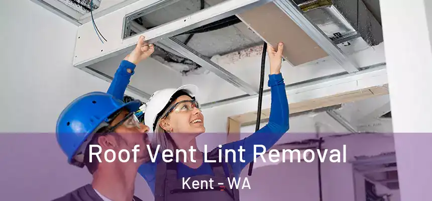 Roof Vent Lint Removal Kent - WA