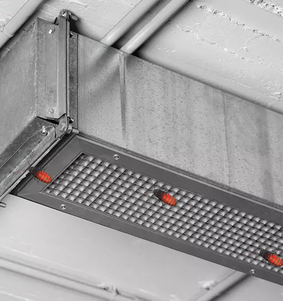 About Air Duct Cockroach Removal in Kent, WA