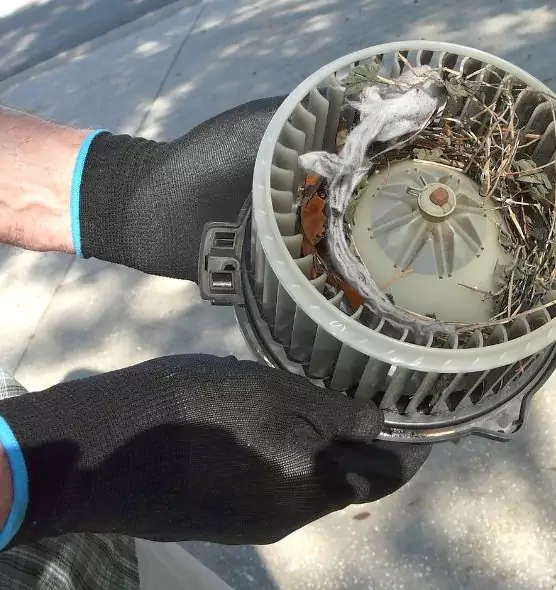 About Air Duct Mice Removal in Kent, WA