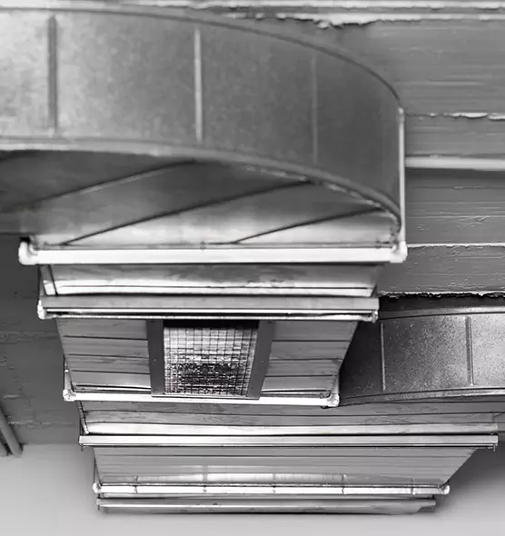 Professional Air Duct Pest Removal in Kent, WA