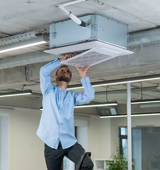 Advanced Rodent Droppings In Vents in Kent, WA