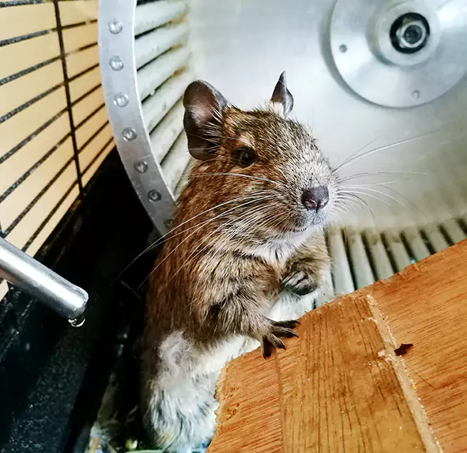 Why Homeowners & Businesses Trust Us Kent, WA?