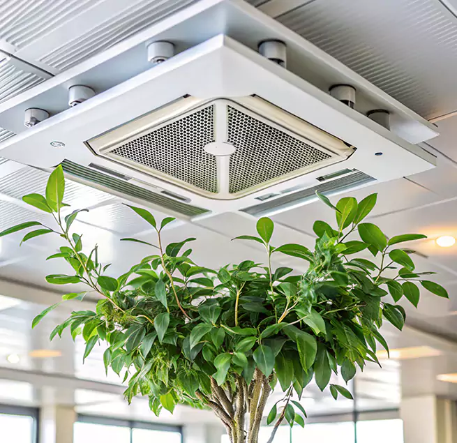 Why Homeowners & Businesses Trust Us in Kent, WA?