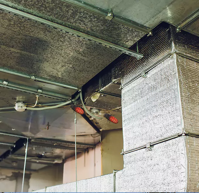 Why Homeowners & Businesses Trust Us Kent, WA?