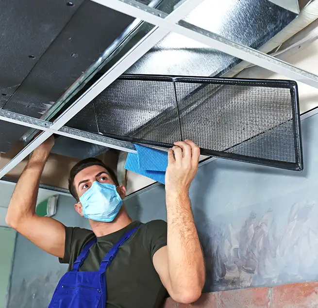 Why Homeowners & Businesses Trust Us in Kent, WA?