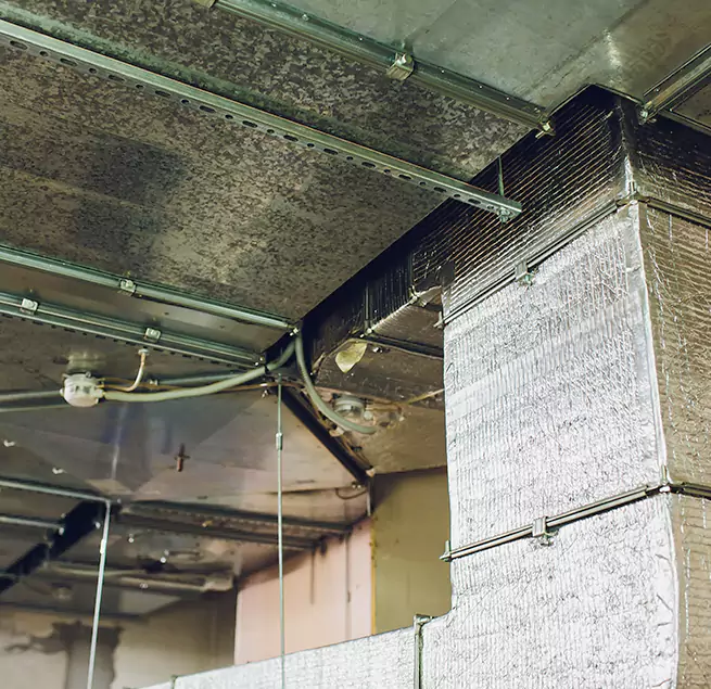 Why Homeowners & Businesses Trust Us in Kent, WA?